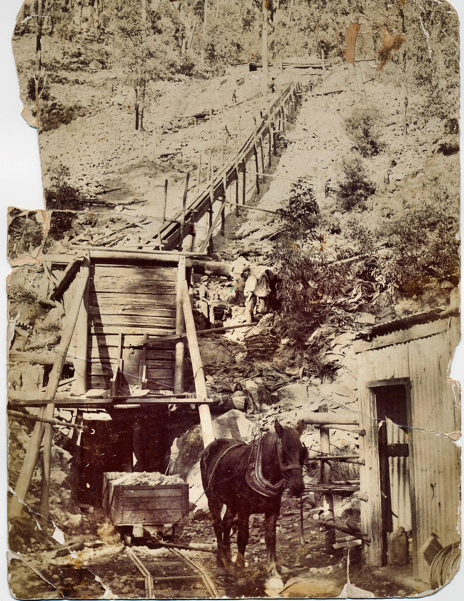 Workers at the Whipstick Molybdenite and Bismuth Mines
